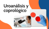 Uroanálisis y coprológico